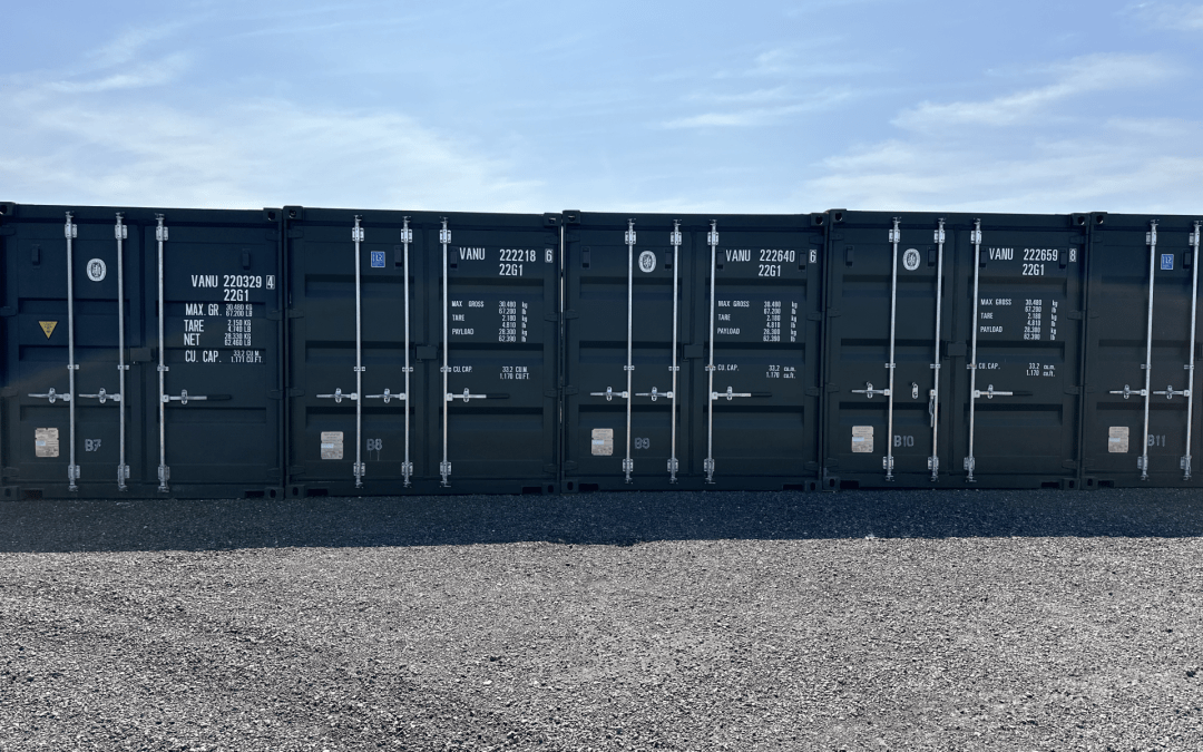 How to Determine the Right Storage Unit for Household Goods?